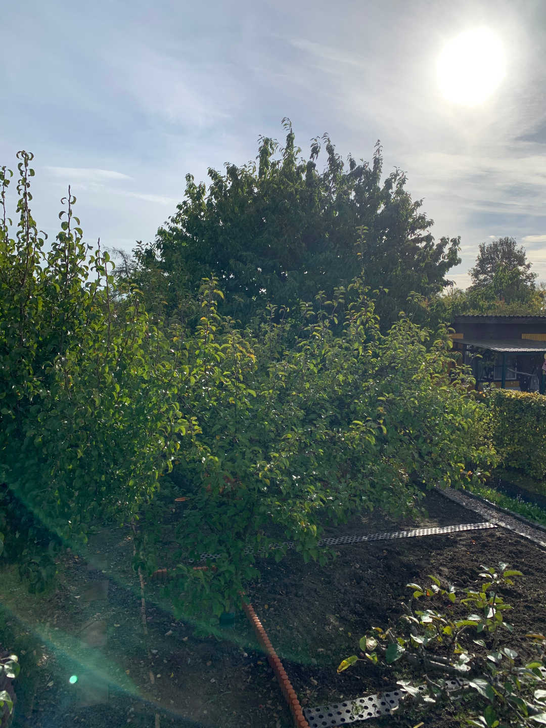 Ein Bild aus der Bildergallerie