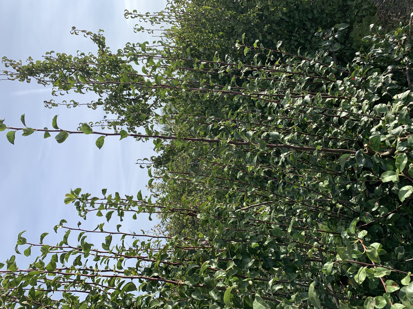 Ein Bild aus der Bildergallerie