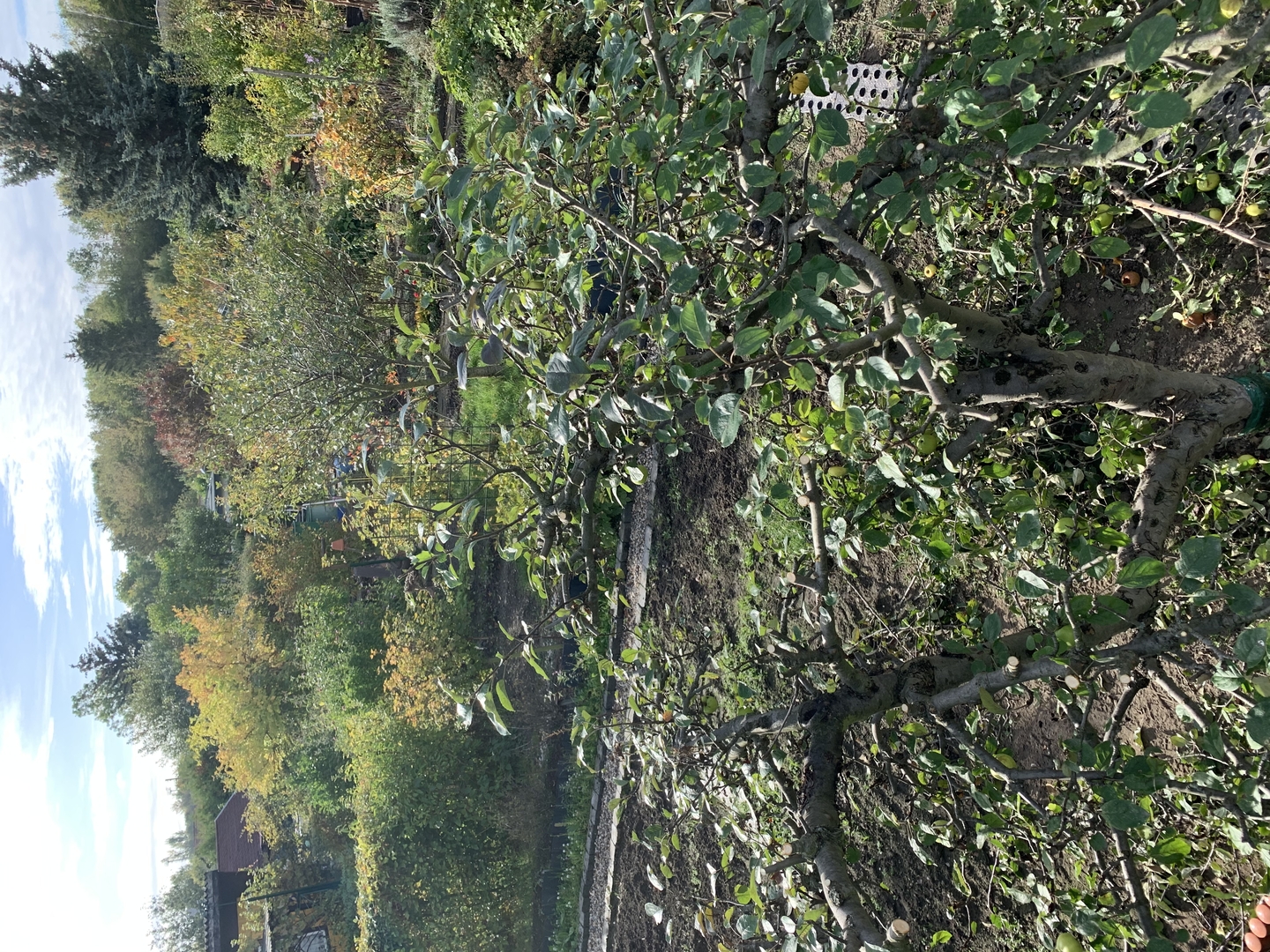 Ein Bild aus der Bildergallerie