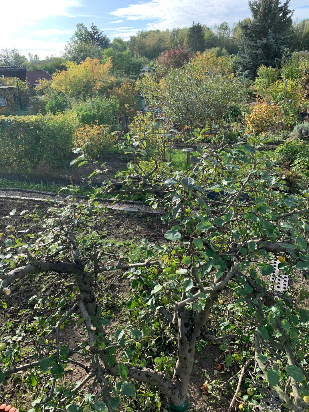 Ein Bild aus der Bildergallerie