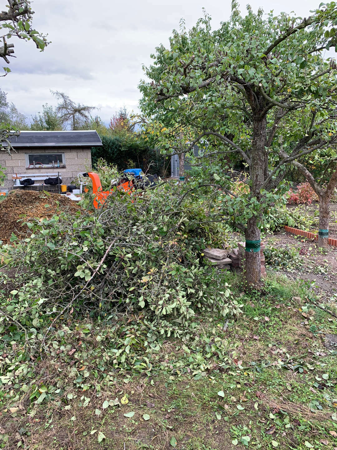 Ein Bild aus der Bildergallerie