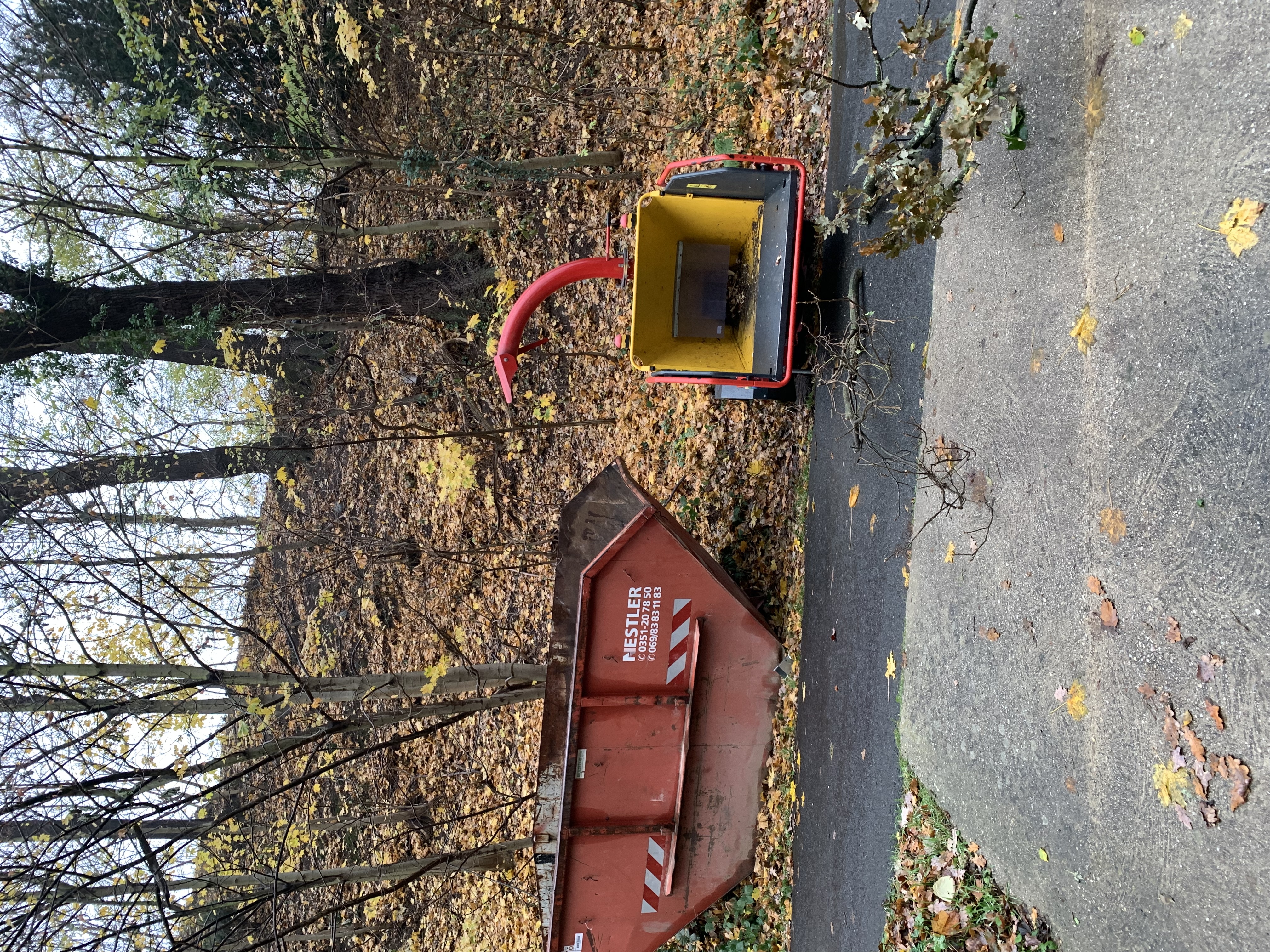 Ein Bild aus der Bildergallerie