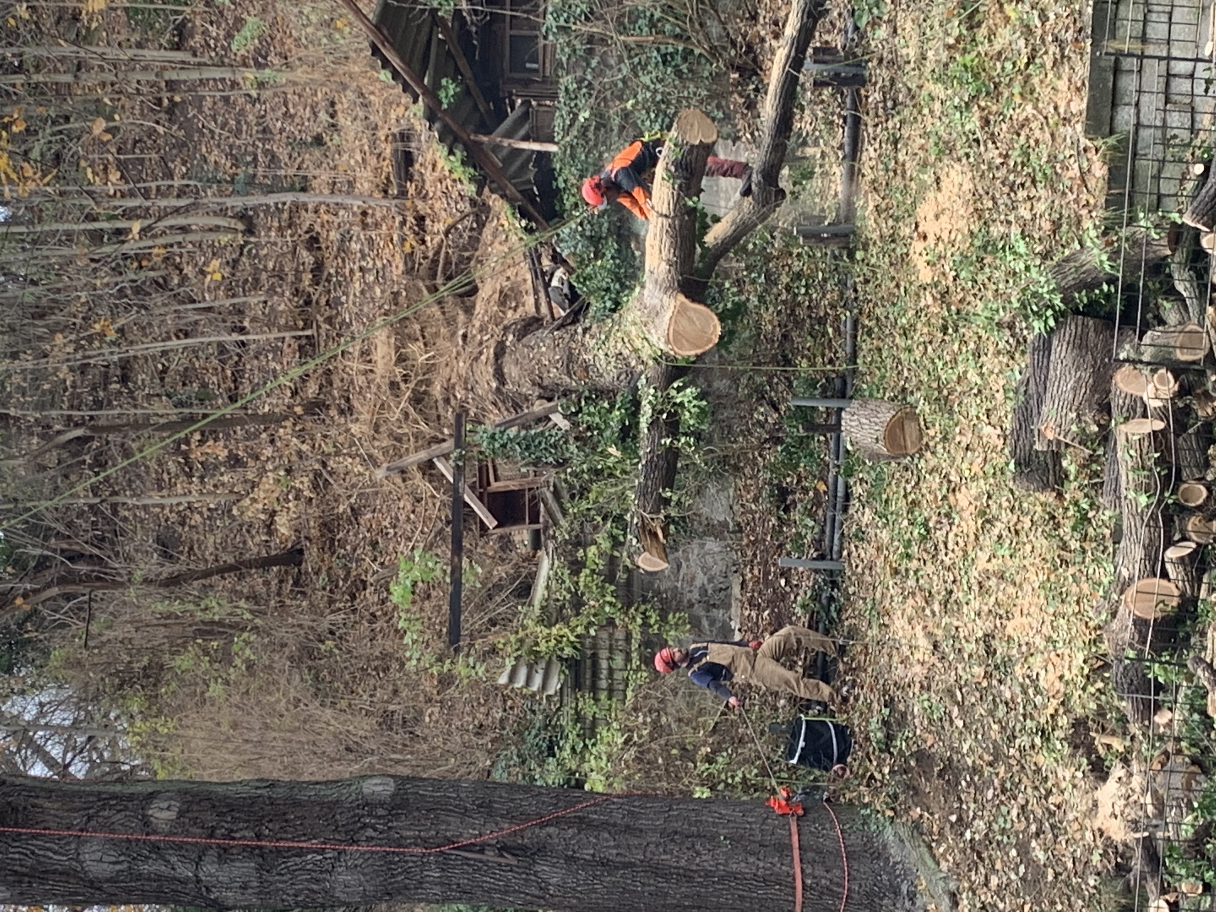 Ein Bild aus der Bildergallerie