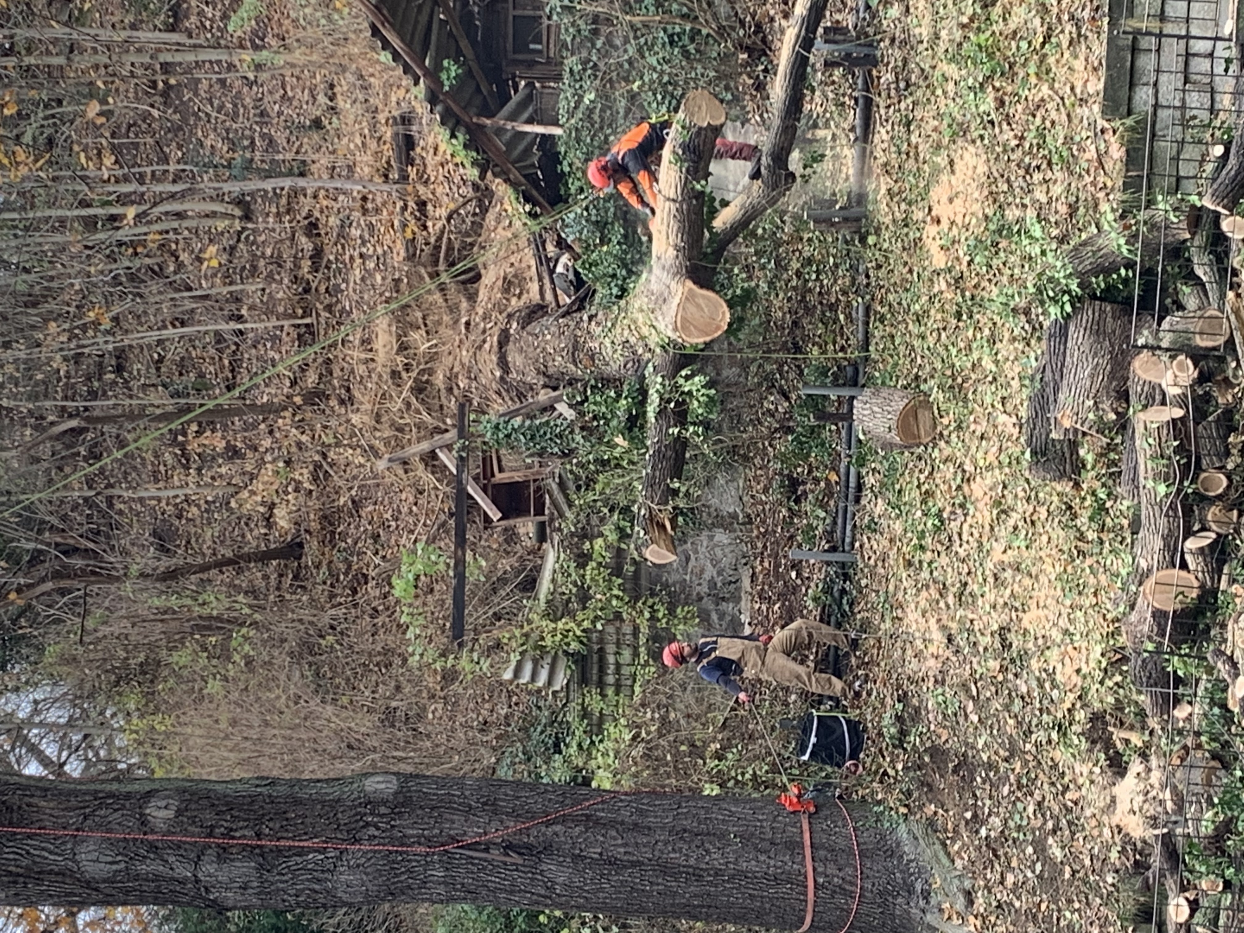 Ein Bild aus der Bildergallerie