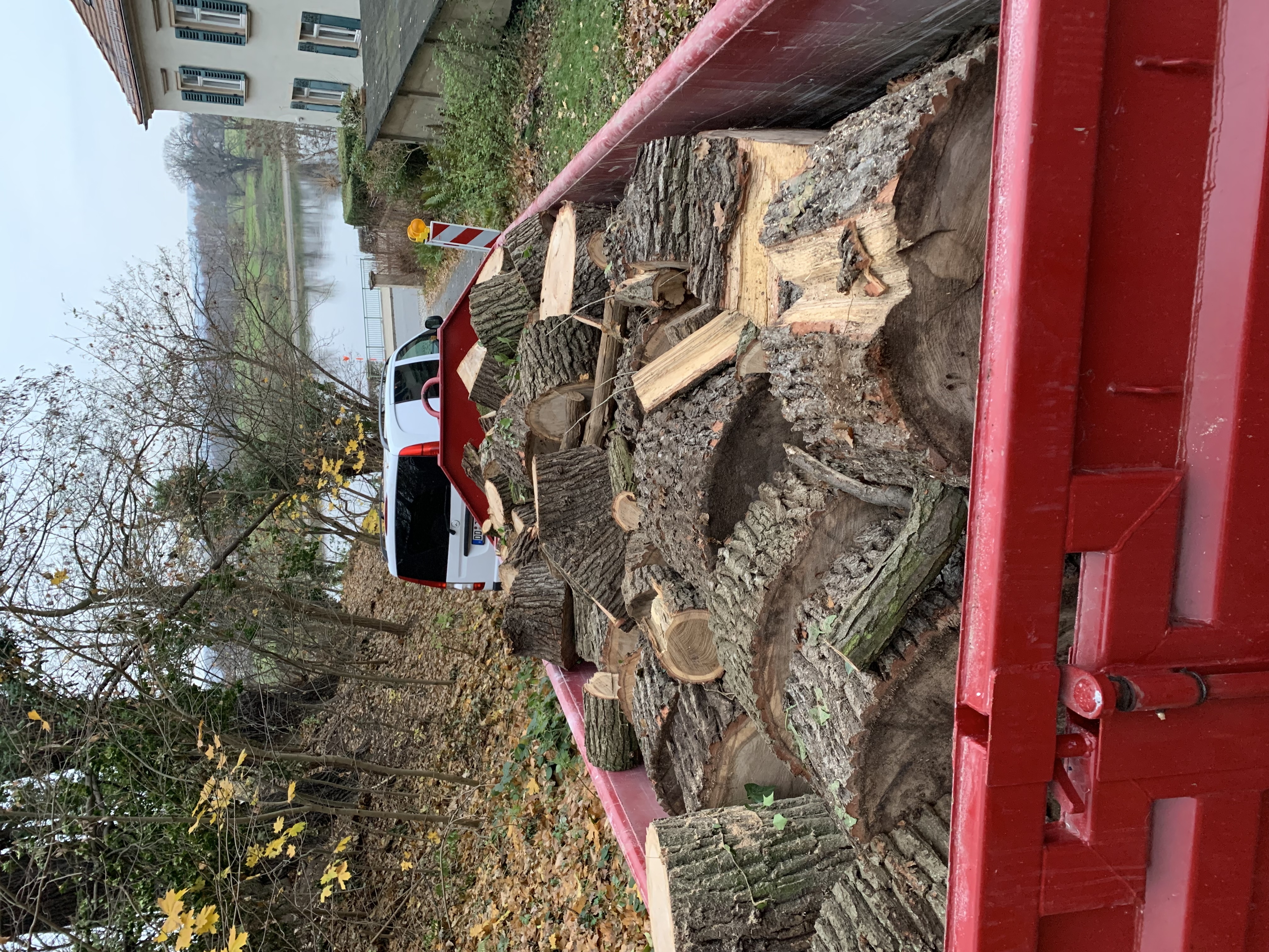 Ein Bild aus der Bildergallerie