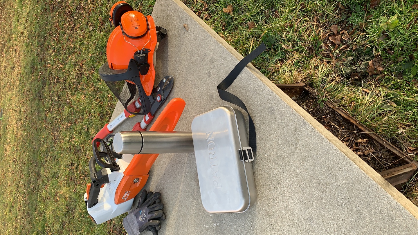 Ein Bild aus der Bildergallerie