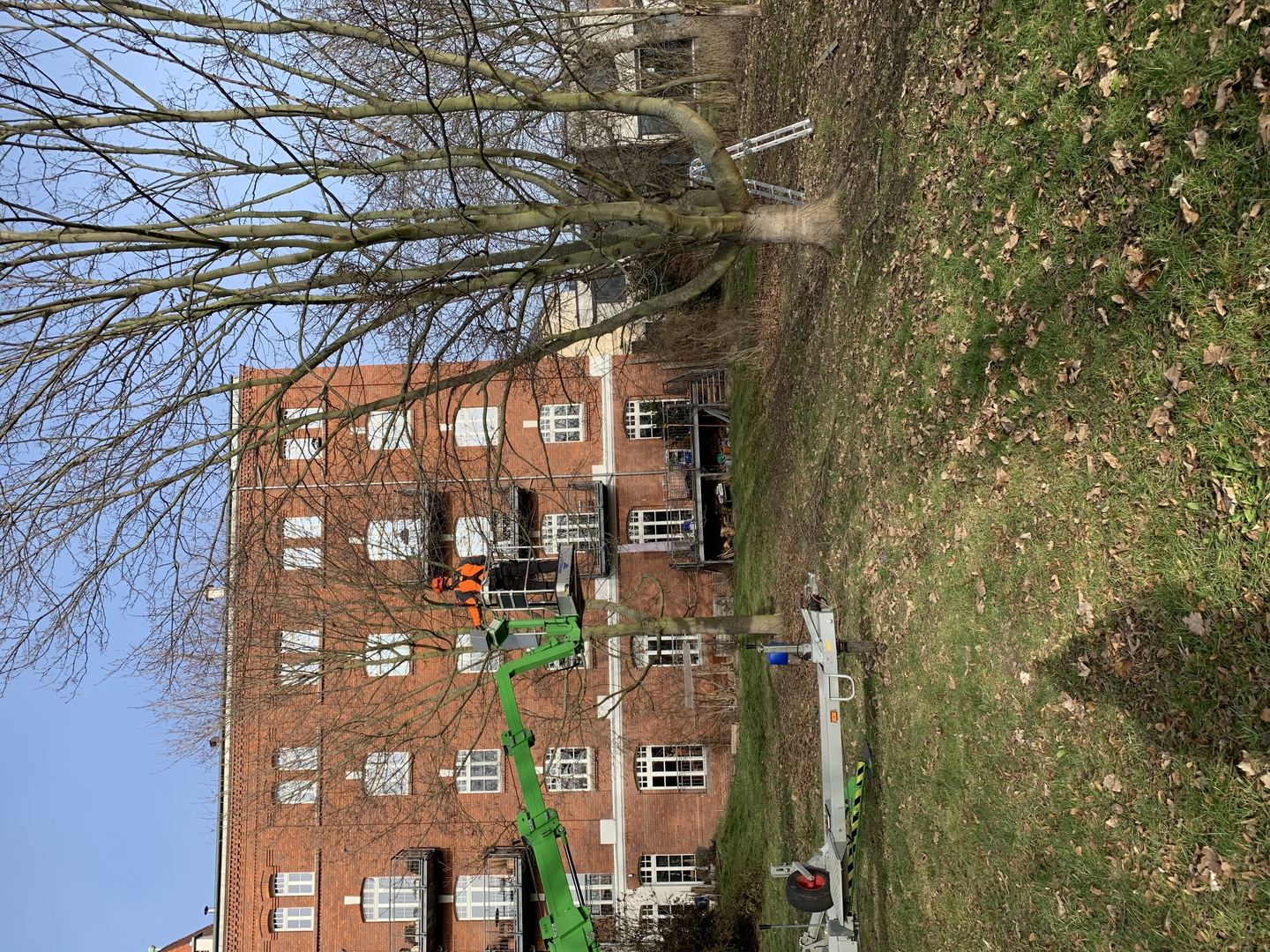 Ein Bild aus der Bildergallerie