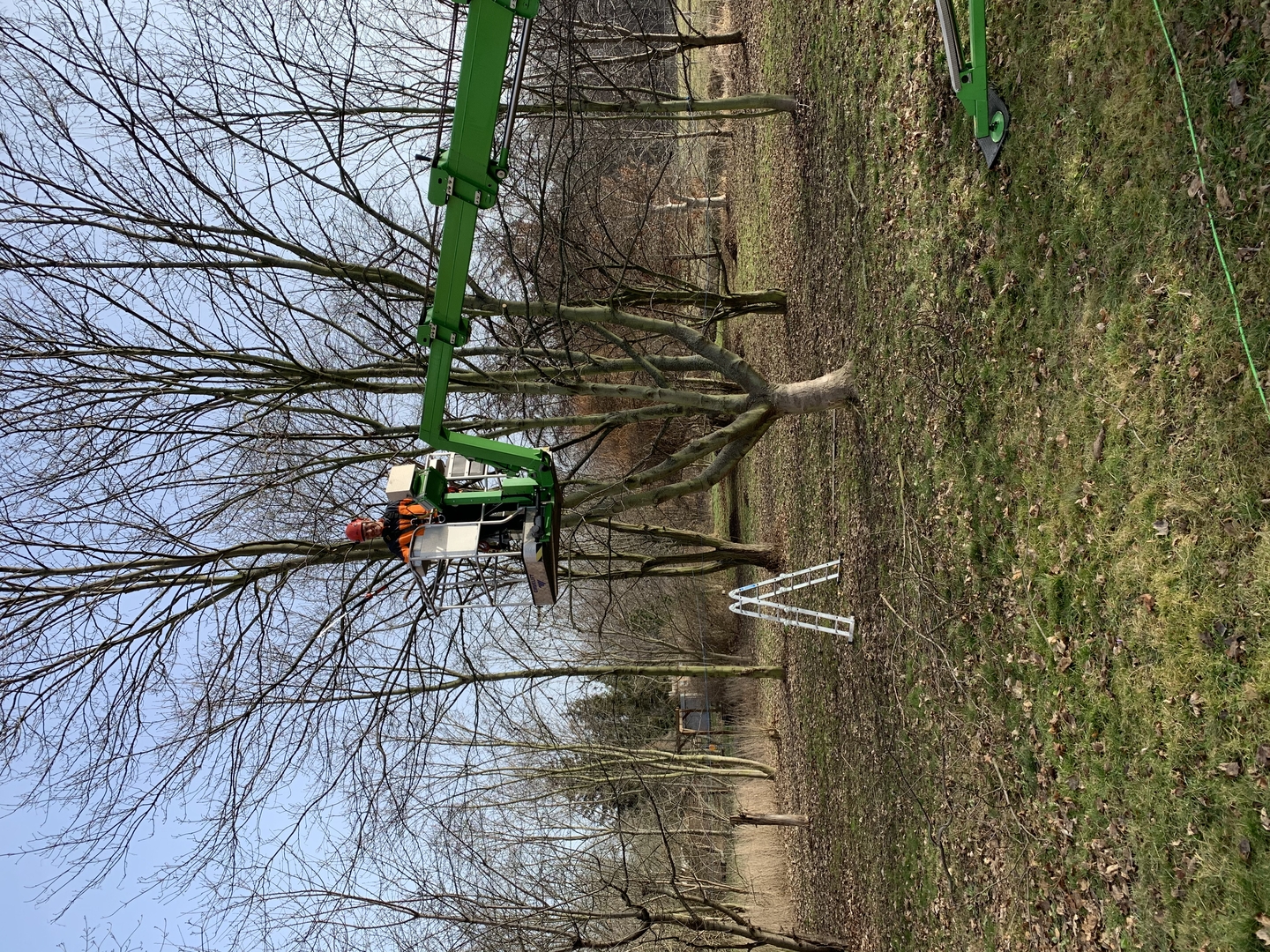 Ein Bild aus der Bildergallerie