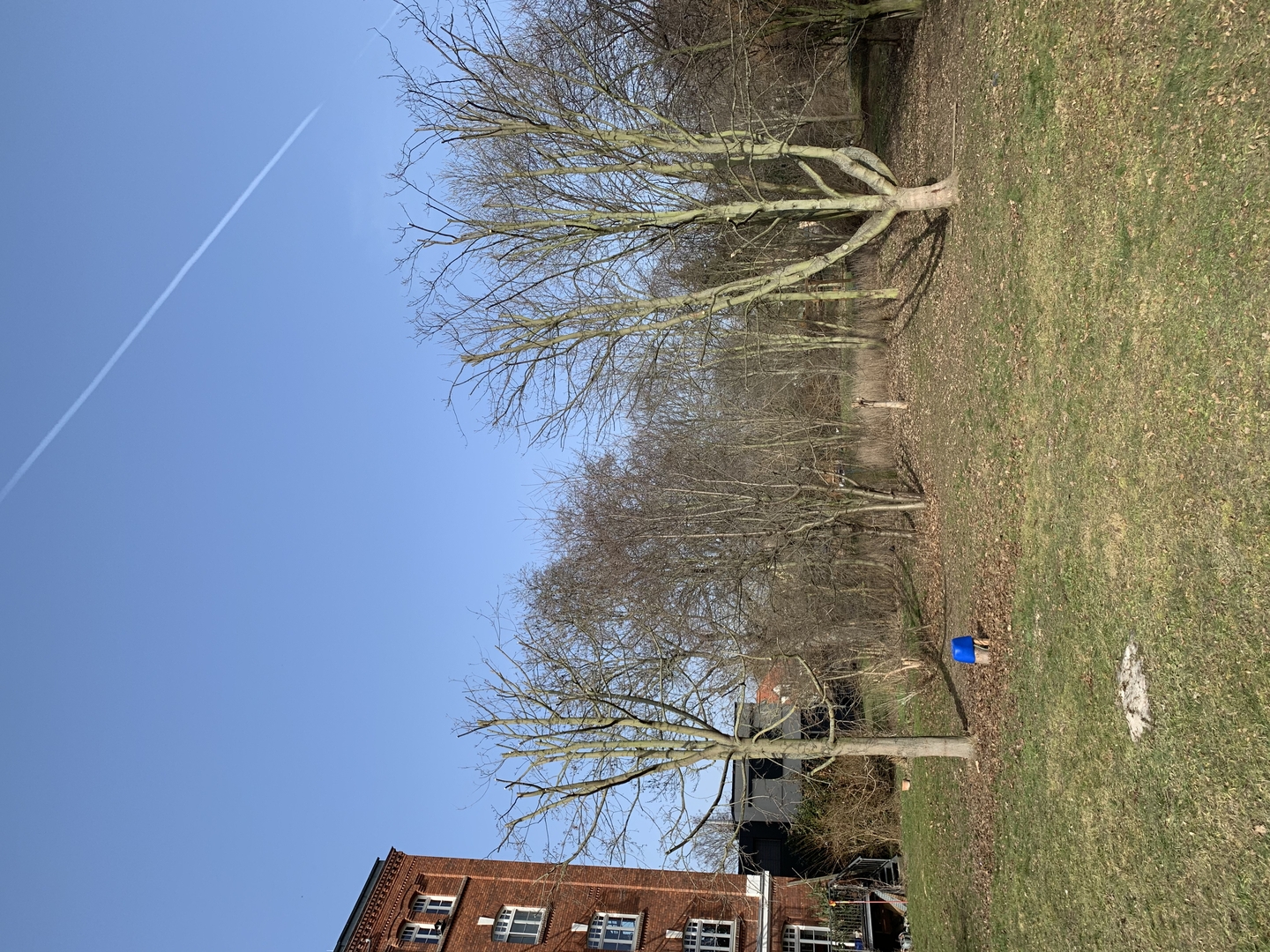 Ein Bild aus der Bildergallerie