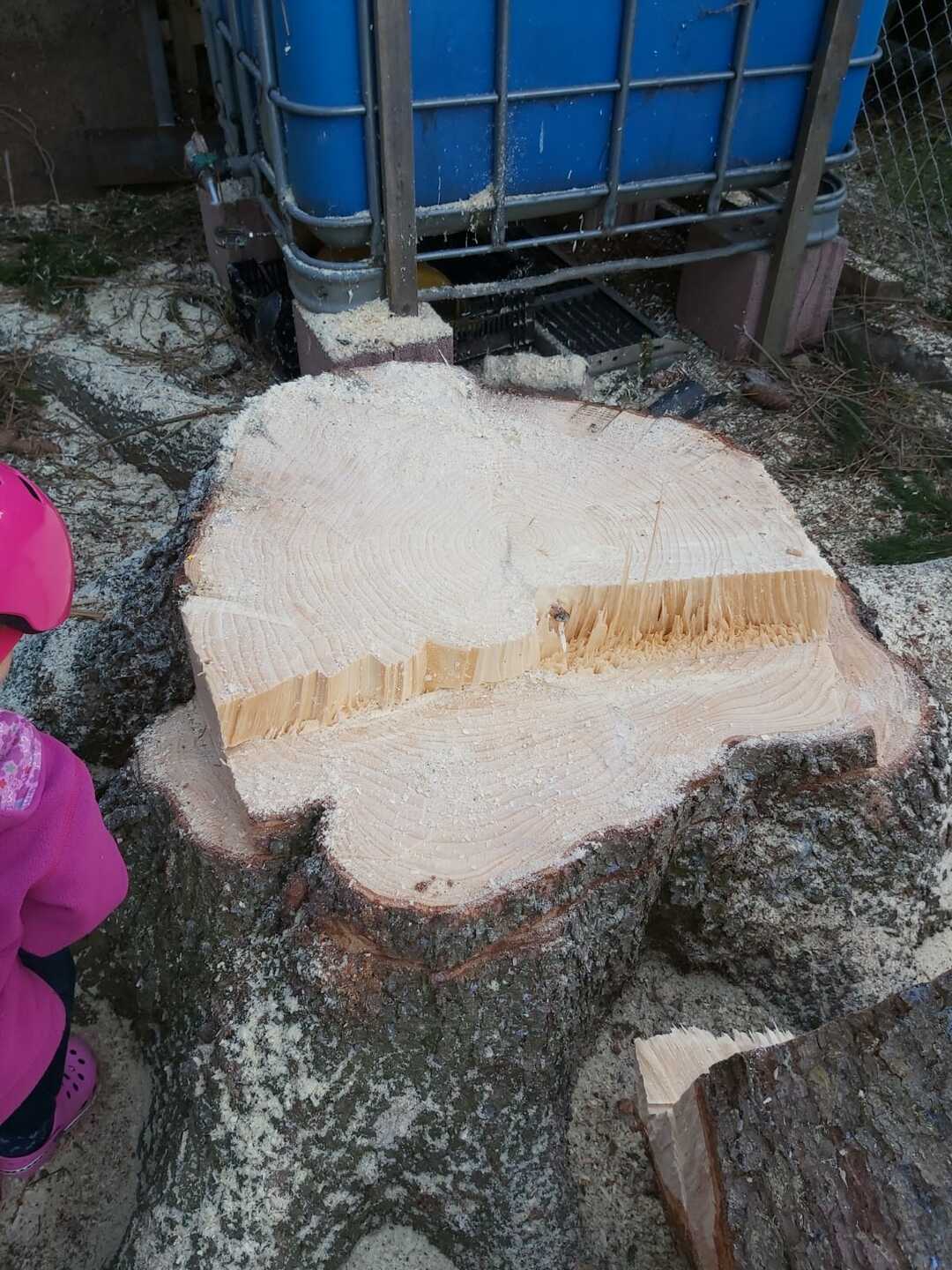 Ein Bild aus der Bildergallerie