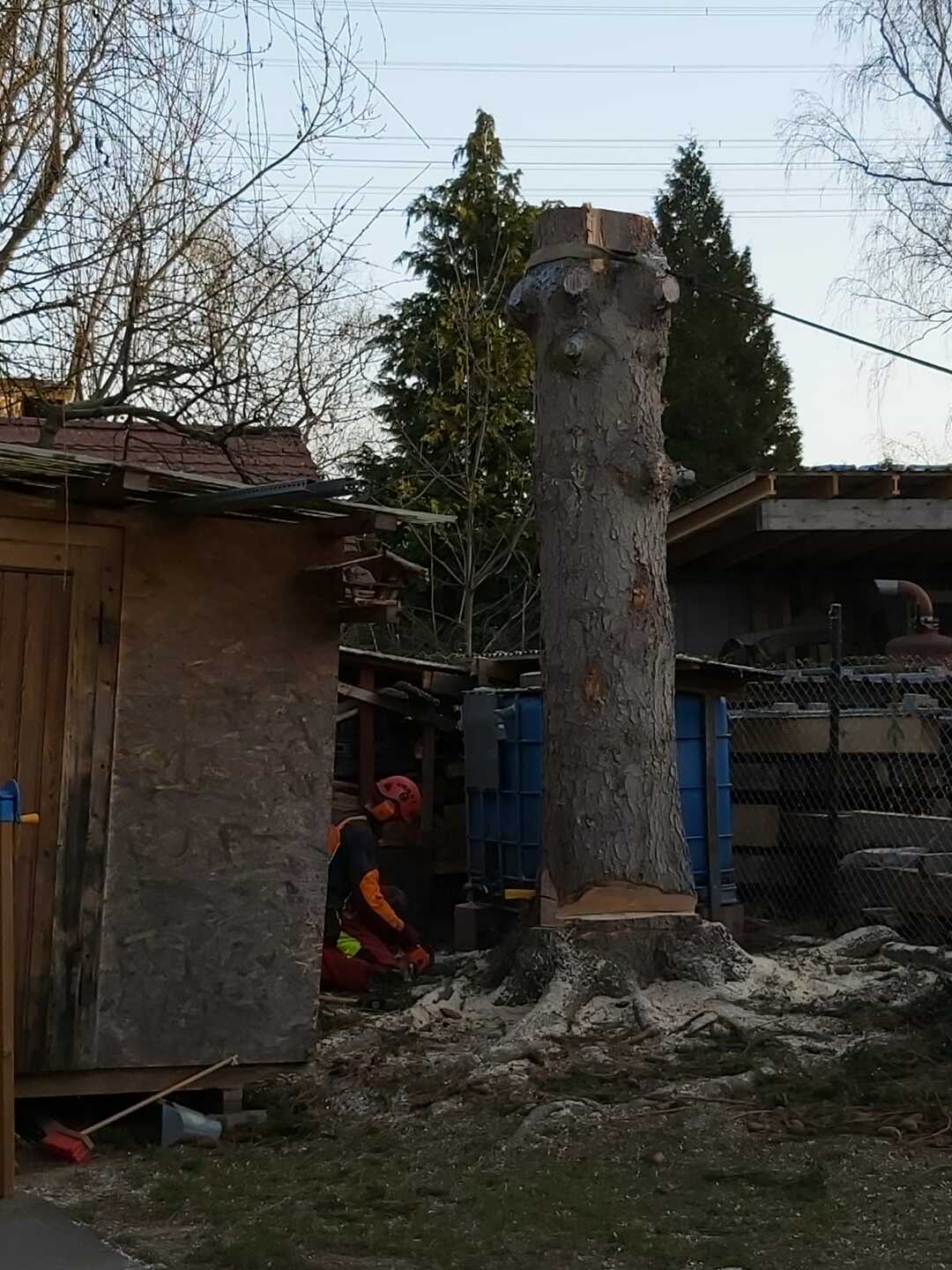 Ein Bild aus der Bildergallerie