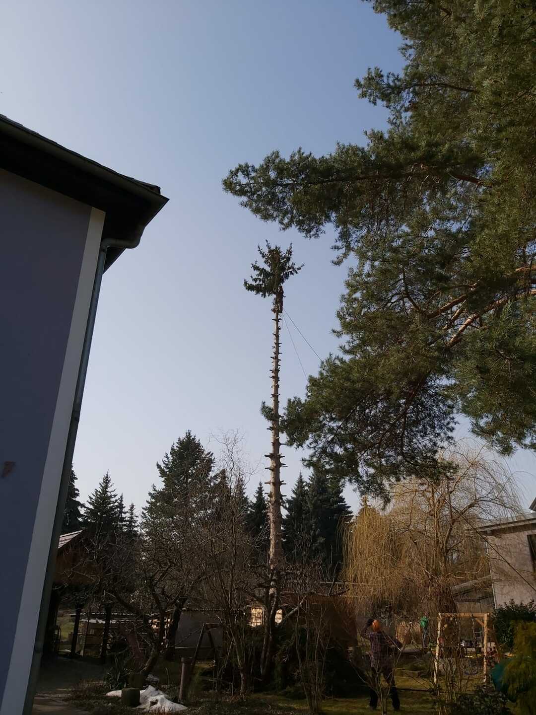 Ein Bild aus der Bildergallerie