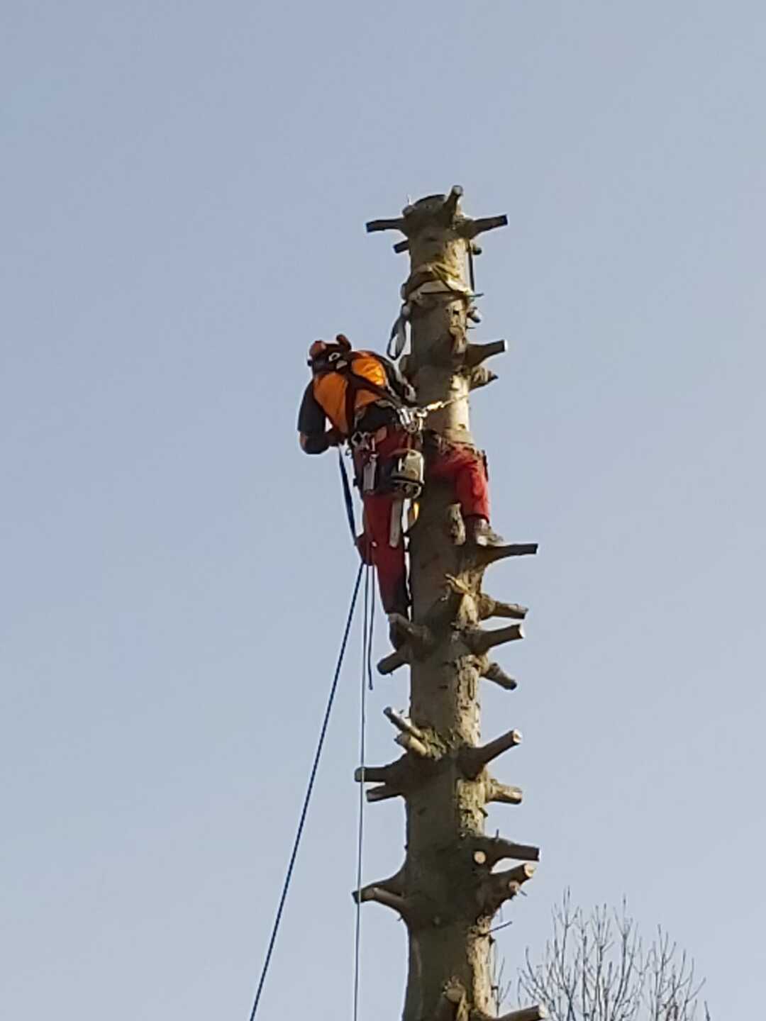 Ein Bild aus der Bildergallerie