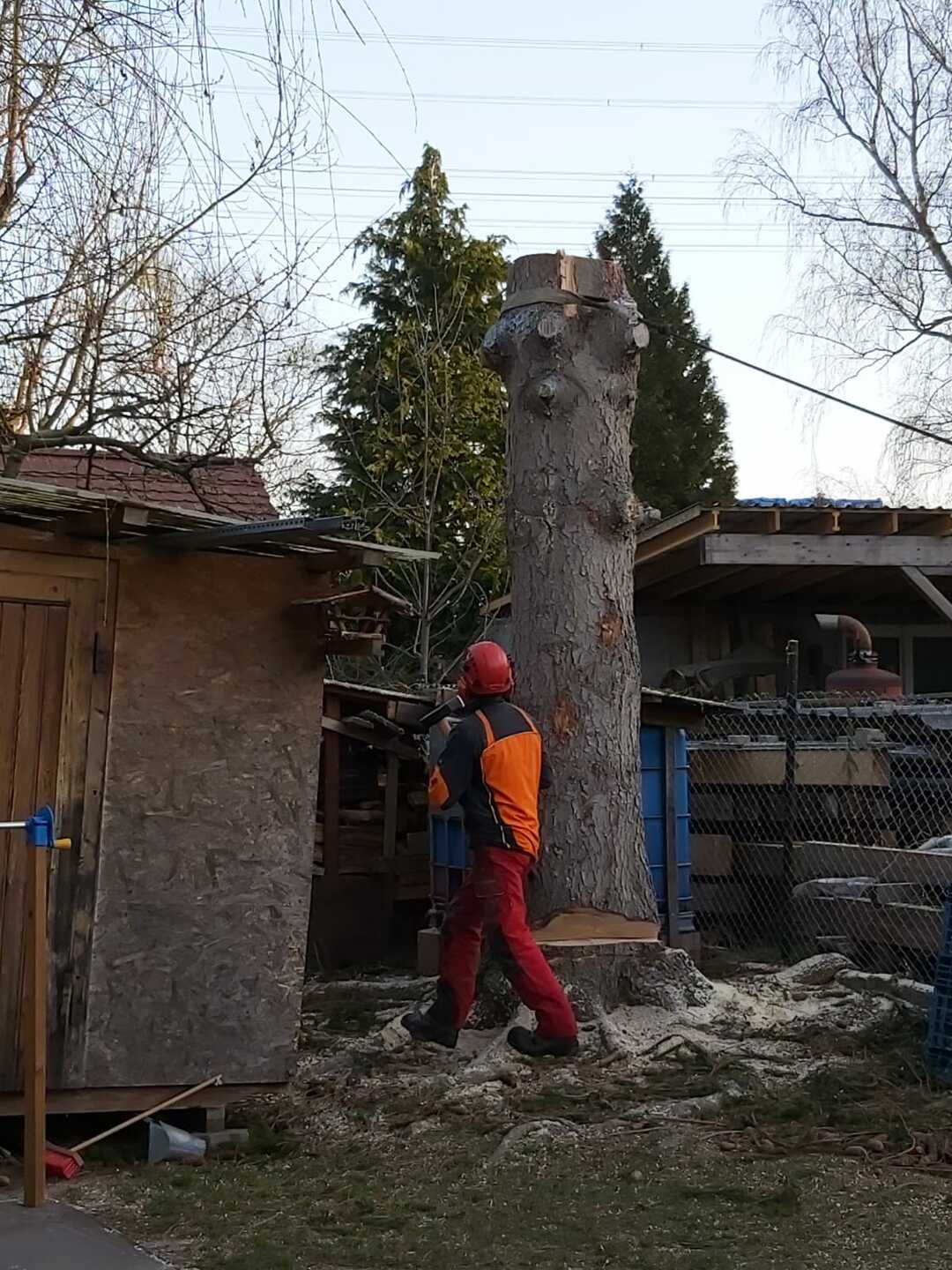 Ein Bild aus der Bildergallerie