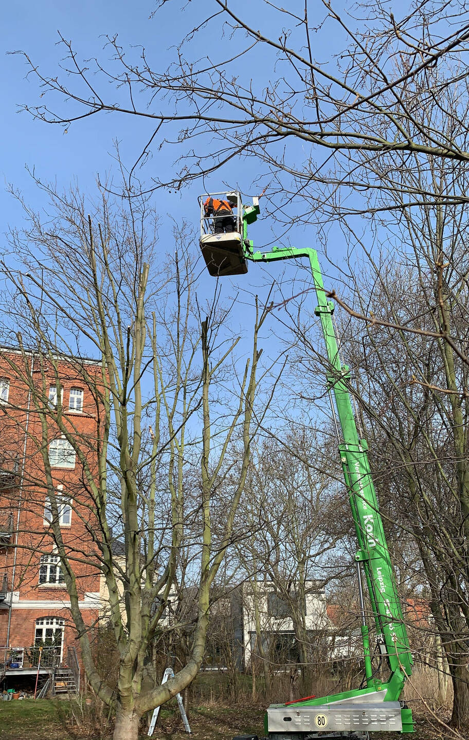 Ein Bild aus der Bildergallerie